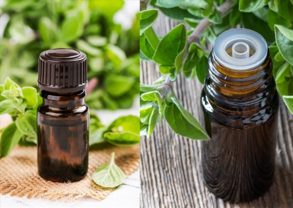 Dùng tinh dầu kinh giới